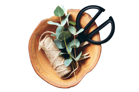 Scissors, rope and eucalyptus branch on wooden plateの写真素材