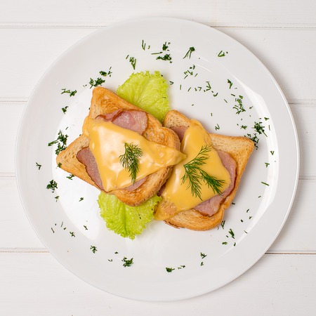 Toasts with ham and cheese on a plate