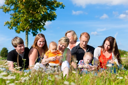 Family and multi-generation - mother, father, children and grandmother having fun on meadow in summer Family and multi-generation - mother, father, children and grandmother having fun on meadow in summer