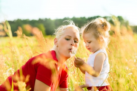 Family summer - blowing dandelion seeds in sunshineの写真素材