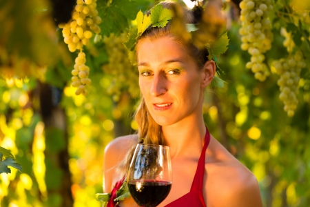 Woman with glass of wine in the vineyard with sunshine, she is the wine queenの写真素材