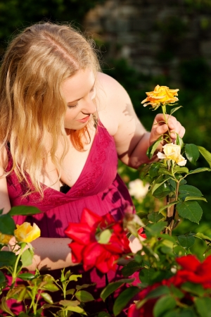 Woman doing garden work cutting the roses at beautifully sunny dayの写真素材