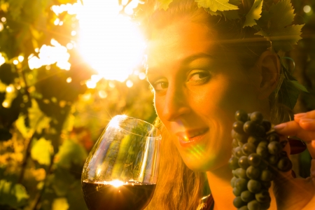 Woman with glass of wine in the vineyard with sunshineの写真素材