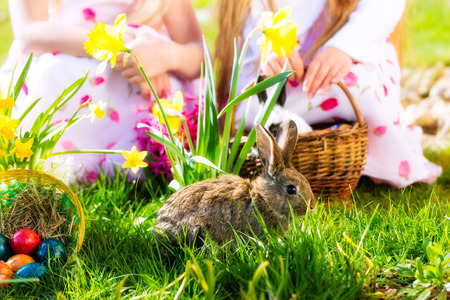 Living Easter bunny with eggs in a basket on a meadow in spring, children in the background