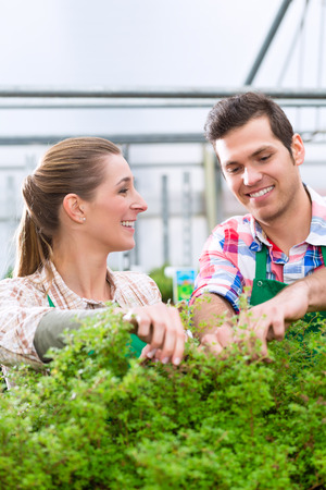 Florists or gardeners in flower shop, greenhouse or nurseryの写真素材
