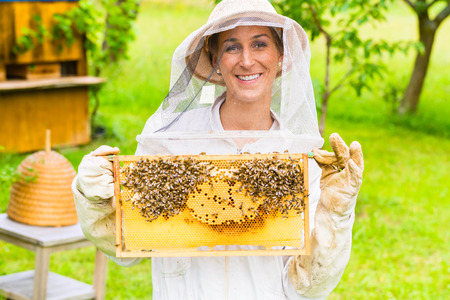 Beekeeper controlling beehive and comb frameの写真素材