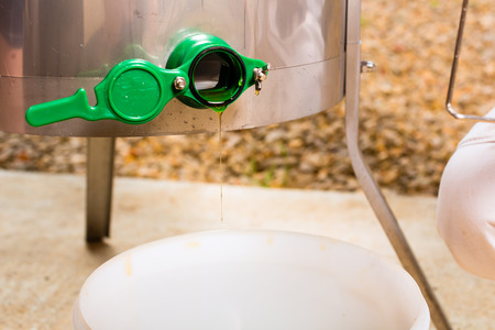 Beekeeper filling honey out of extractorの写真素材