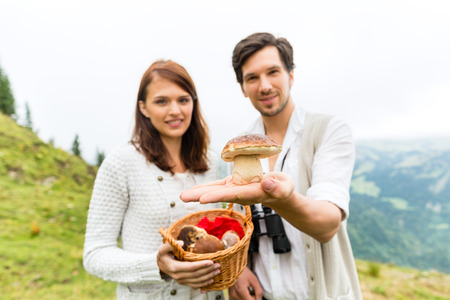 Mushrooms - young couple looking and searching for porcini in the mountainsの写真素材