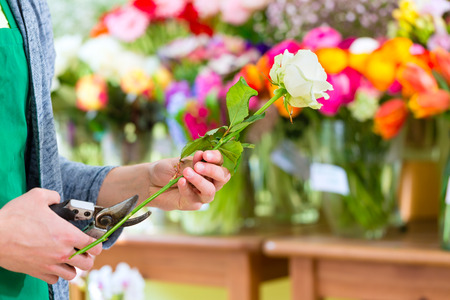 Young handsome florist cutting rose with tongs in shopの写真素材