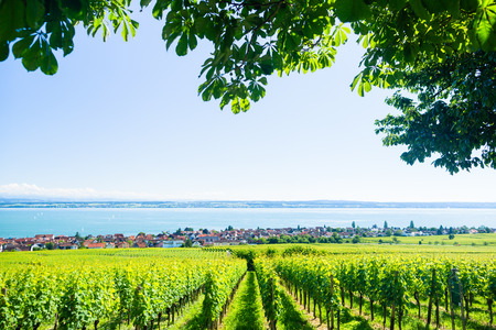 View on Bodensee with alp mountain range in backgroundの写真素材