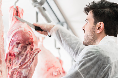 Butcher in butchery or slaughterhouse cutting meat for further processingの写真素材