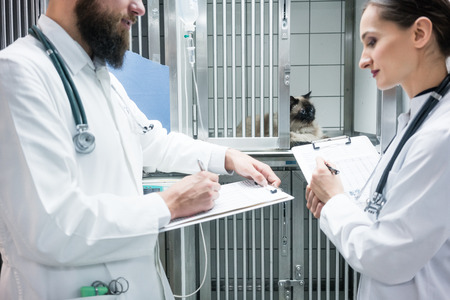 Vet doctors on visit round in ICU of veterinarian clinicの写真素材
