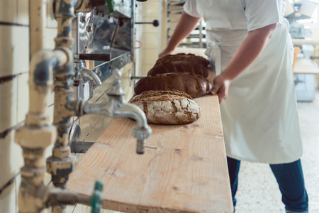 Baker woman getting bread loafs out of bakery oven putting them on a board