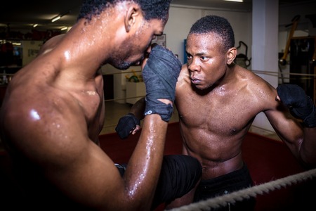 Determined offensive fighter hitting his opponent while practicing MMA in the ringの写真素材