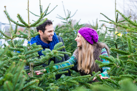 Couple looking to buy Christmas treesの写真素材
