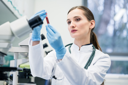 Doctor in medical laboratory looking at blood test she is holding in her handの写真素材