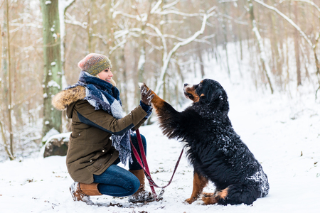 Woman and dog giving high-five in the snow on winter dayの写真素材
