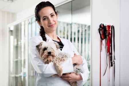 Happy female veterinarian carrying sick puppy in hospitalの写真素材