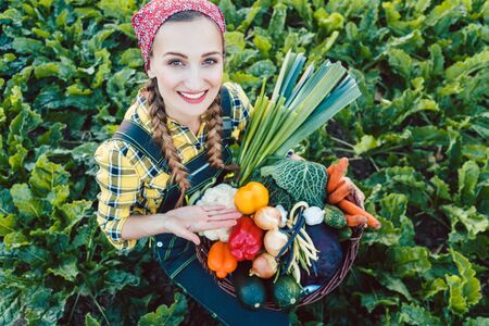 Farmer woman in a field offering colorful organic vegetables as healthy foodの写真素材