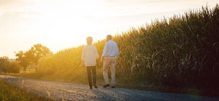 Senior woman and man having a walk along a field holding handsの写真素材