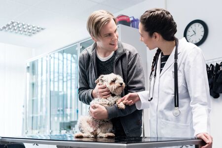 Smiling veterinarian taking care of a dog in hospital