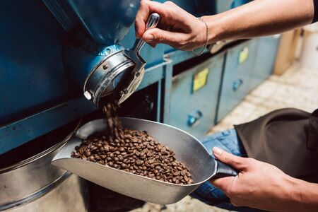 Woman taking coffee beans out of the storage to sell themの写真素材
