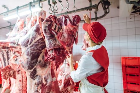 Experienced Butcher woman inspecting piece of meat to processed