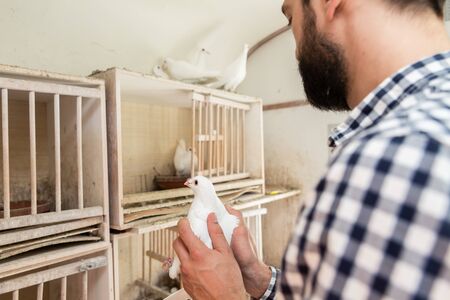 A man holding a pigeon in a pigeon loft on his hand