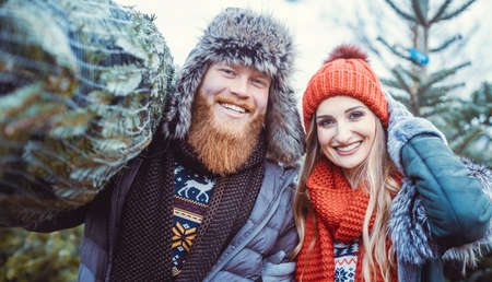 Man and woman having bought a Christmas Tree carrying it homeの写真素材