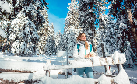 Woman having a rest during hike in winter and snow looking at the cameraの写真素材