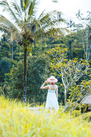 Woman in tropical vacation walking through the jungle holding her sunhatの写真素材