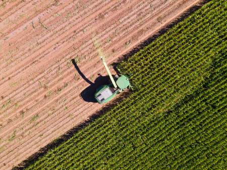 Harvester on the field cutting corn, aerial shot straight downの写真素材