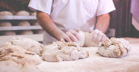 close-up on hands of baker kneading dough to bake fresh bread
