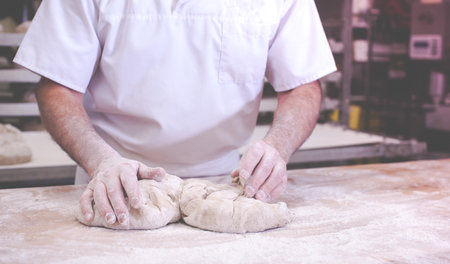 close-up on hands of baker kneading dough to bake fresh bread