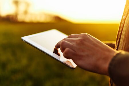 Closeup of young farmer's hands holding a tablet and checking the progress of the harvest at the green wheat field on the sunset. Worker tracks the growth prospects. Agricultural conceptの写真素材