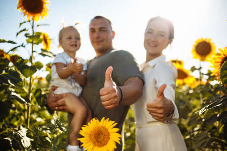 Happy family having fun in the field of sunflowers. Father and mother holding their daughter in the hands, smile and showing thumb up like sign with the hands. Summer, freedom, family value concept.の写真素材