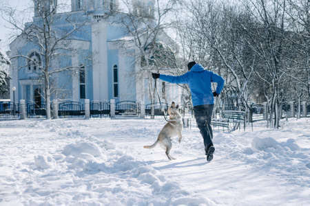 Dog's owner with his pet having fun in the park on a snowy winter's day. Man and a labrador retriever run and being active outdoors among piles of snow. Friendship and togetherness conceptの写真素材