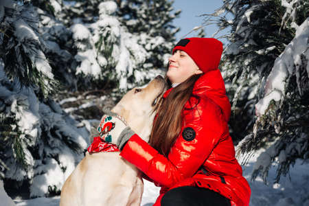 Girl wearing red jacket and her labrador retriever hug and have fun at a winter snowy park. Owner and her dog sit among fir trees in the forest. Friendship, pets and holidays concept.の写真素材