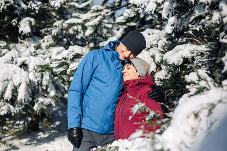 Middle age couple hug at the snowy winter park. A man and a woman in blue and red jackets having fun among fir trees covered with snow. Love, togetherness and holidays concept.の写真素材