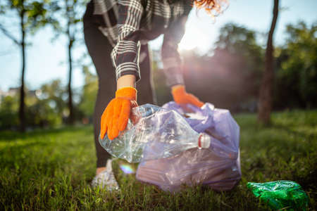 A woman collects and puts used plastic bottle into a trash bag.の写真素材