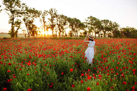 Young woman feels happy and enjoys sunset at the red poppy field. Girl wearing light white dress and straw hat stands in the middle of red flowers meadow. Spring and nature conceptの写真素材