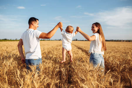 A couple with a child having fun at the middle of the golden wheat field. Father and mother hold...