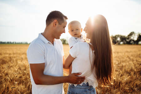 Happy parents hold a child in their arms in a wheat field. A woman and a man play with a child on a sunny summer day. Photo of a happy familyの写真素材