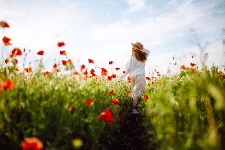 Girl in a hat with long curly hair posing in a field with red flowers. Summer landscape. Warm colors. Woman walking through a poppy field. Young girl in the spring flower gardenの写真素材