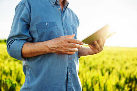 Close-up shot of a farmer with a tablet in his hands. Technologies in farming. Green wheat field....