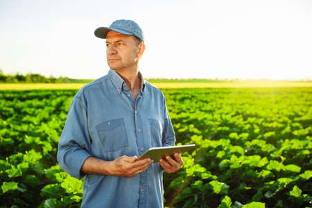 A Caucasian farmer with a tablet in his hands stands in the middle of a green field. An agronomist...