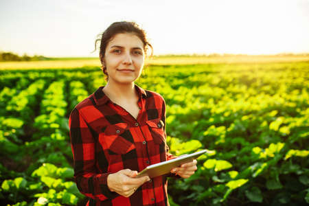 Female farmer with a tablet in her hands checks her field. Young sunflower. Smart farming. Agriculture technologies. Woman farmer in a green fieldの写真素材