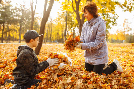 Mom and child are cleaning fallen leaves in the park. A woman and a boy are gathering foliage. Autumn landscape. Mother and son cleaning up autumn leaves outdoors.の写真素材