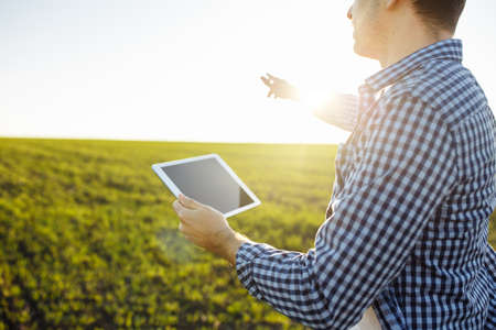 Close shot of a farmer with tablet in his hands standing at the green field. New wheat seeding at spring. Healthy food, technologies and farming conceptの写真素材