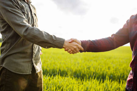 Two farmers shake hands. good deal. Fertile land and harvest. Field with green wheat